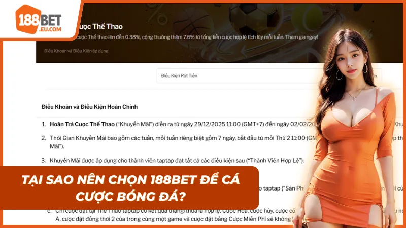 Tổng kết lại những lý do nên chọn nhà cái này để cá cược bóng đá